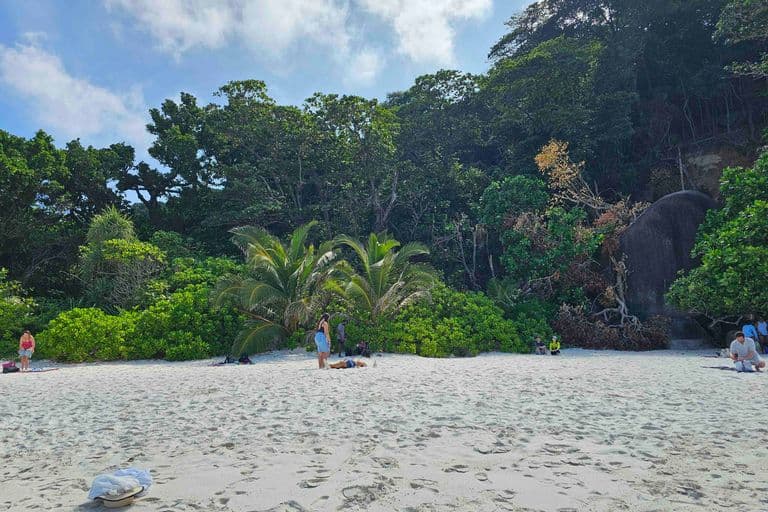 Powder Sand Beachs at Similan Islands