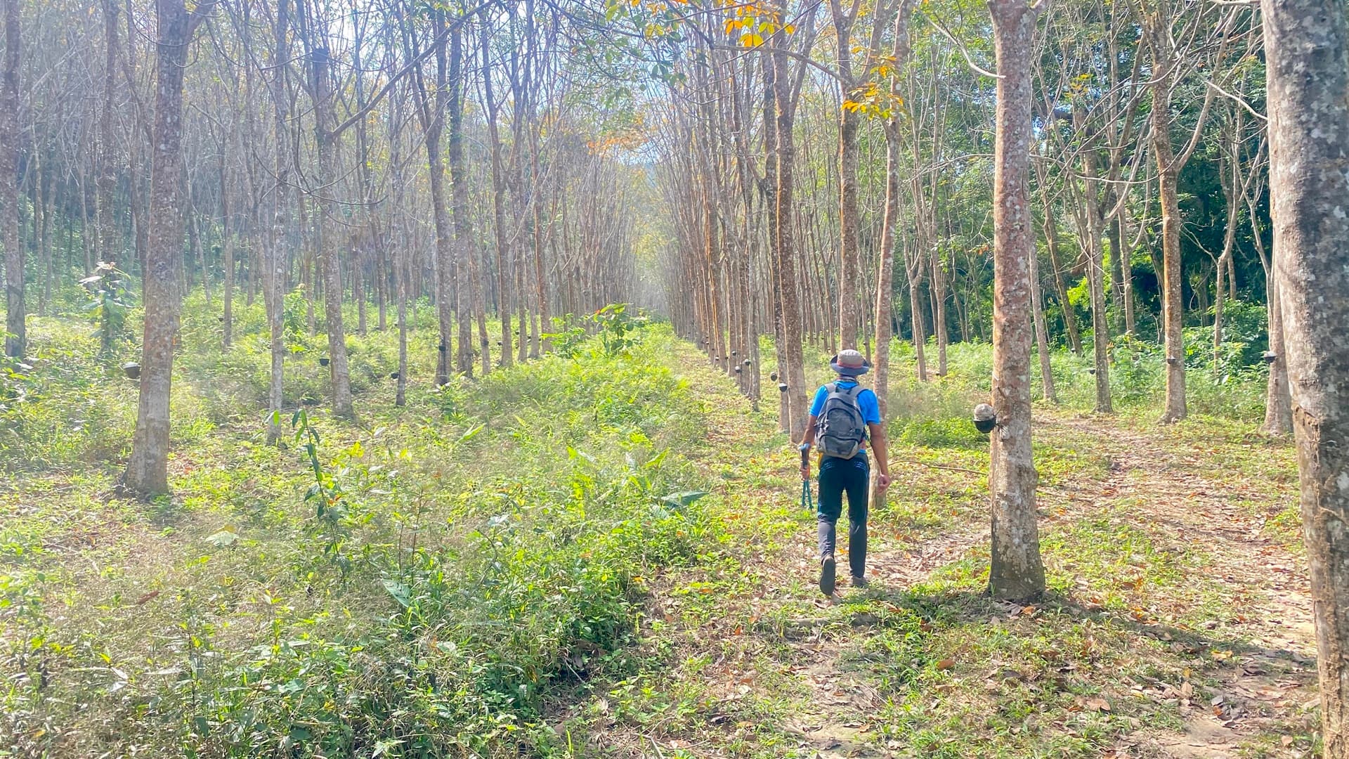 koh pu mountain hike