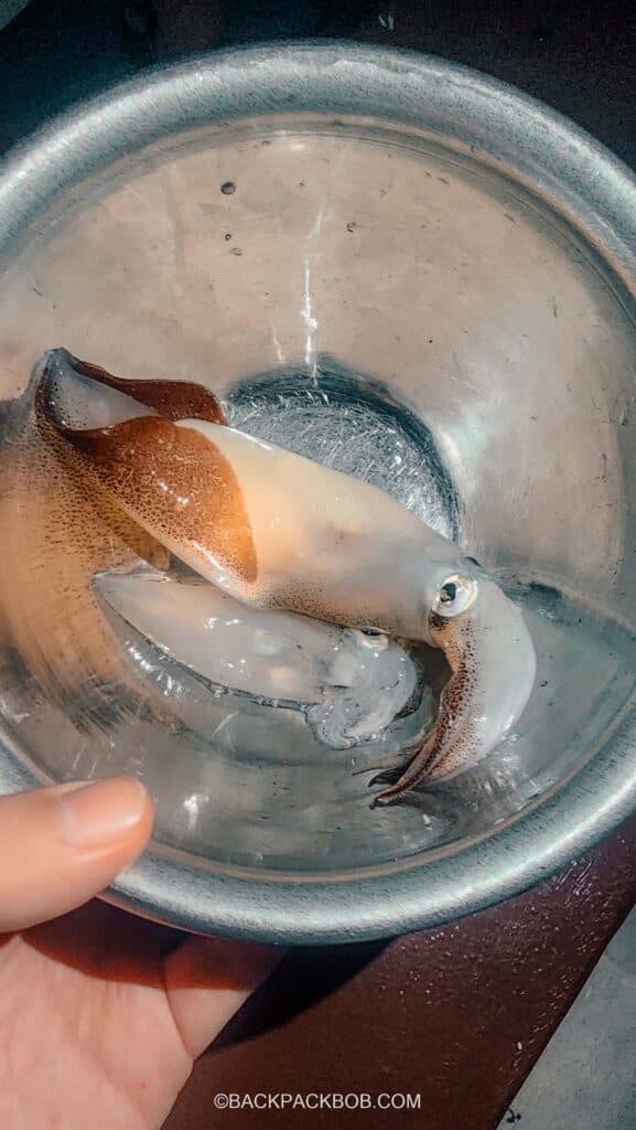 squid dinner on ha long bay cruise