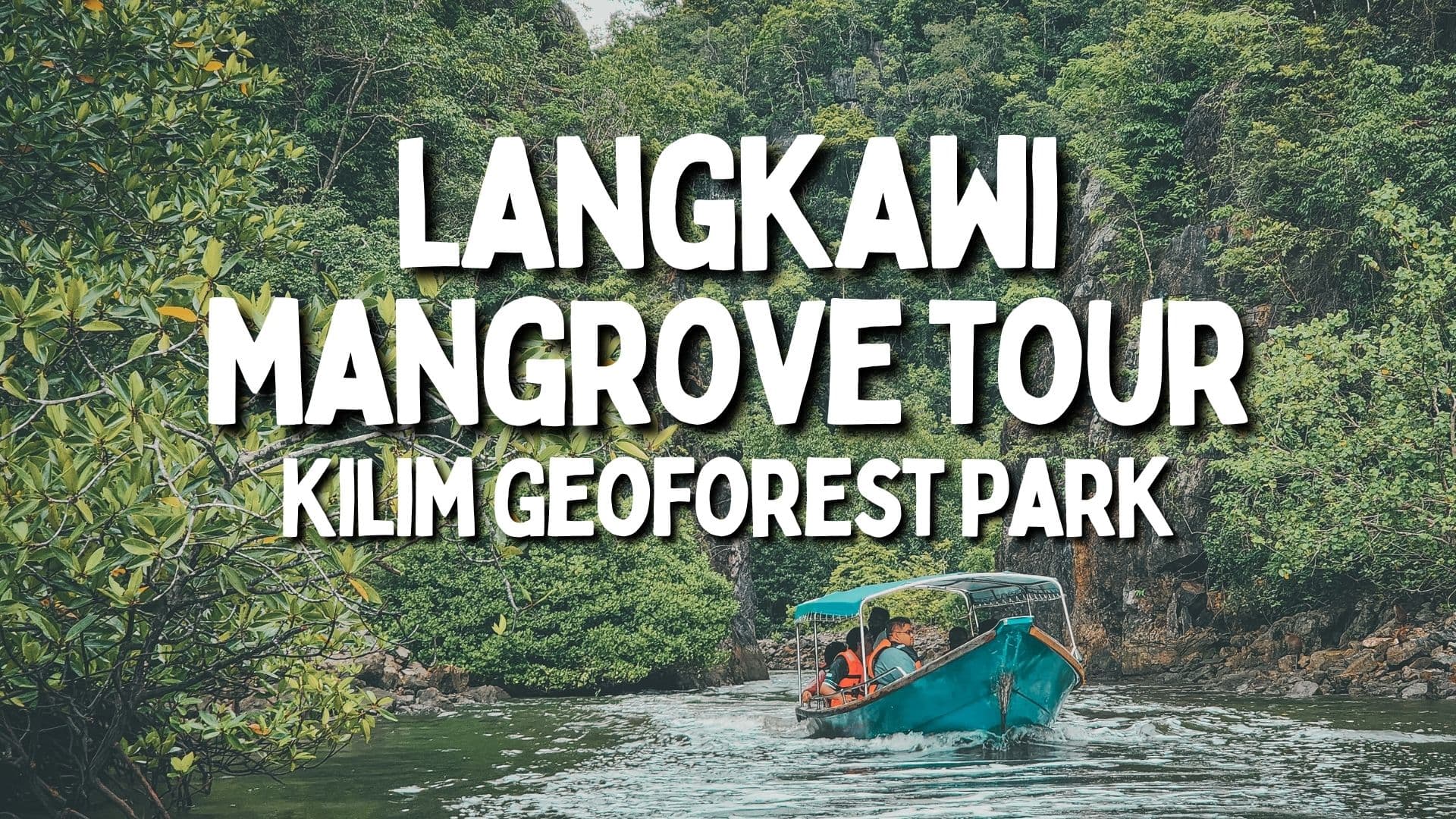 Langkawi Mangrove Tour