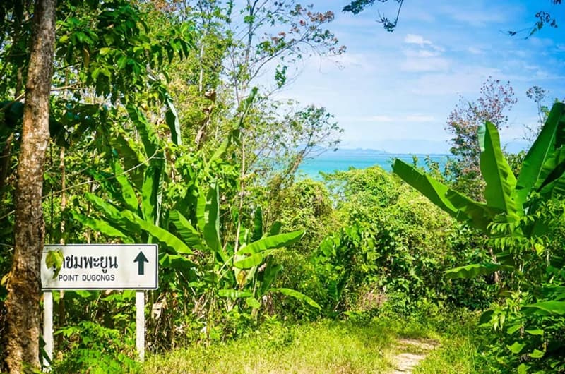 Point Dugong Sign on road in Koh Libong