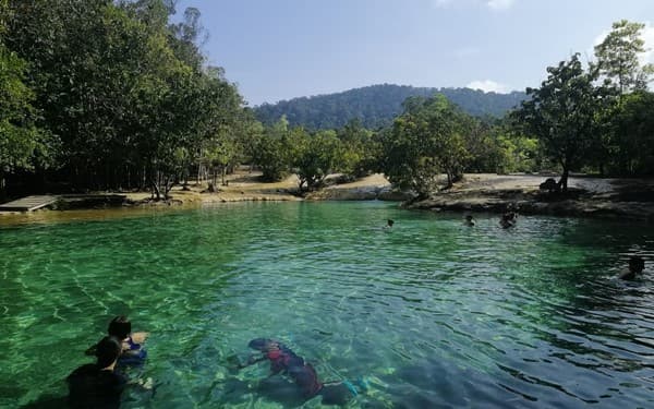 emerald pool Krabi hot springs emerald pool Krabi Thailand krabi hot springs hot springs krabi klong thom hot springs krabi thailand