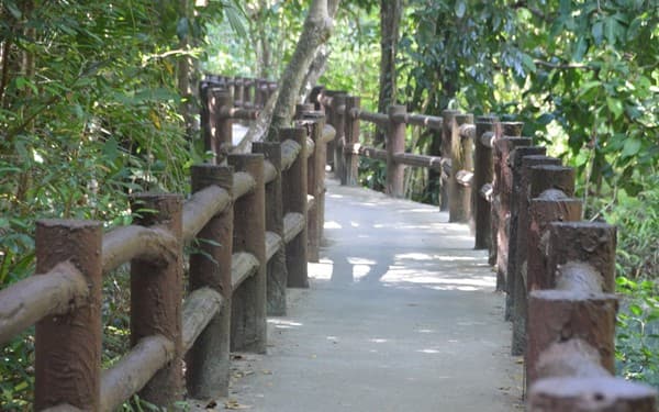 krabi hot spring and emerald pool lagoon