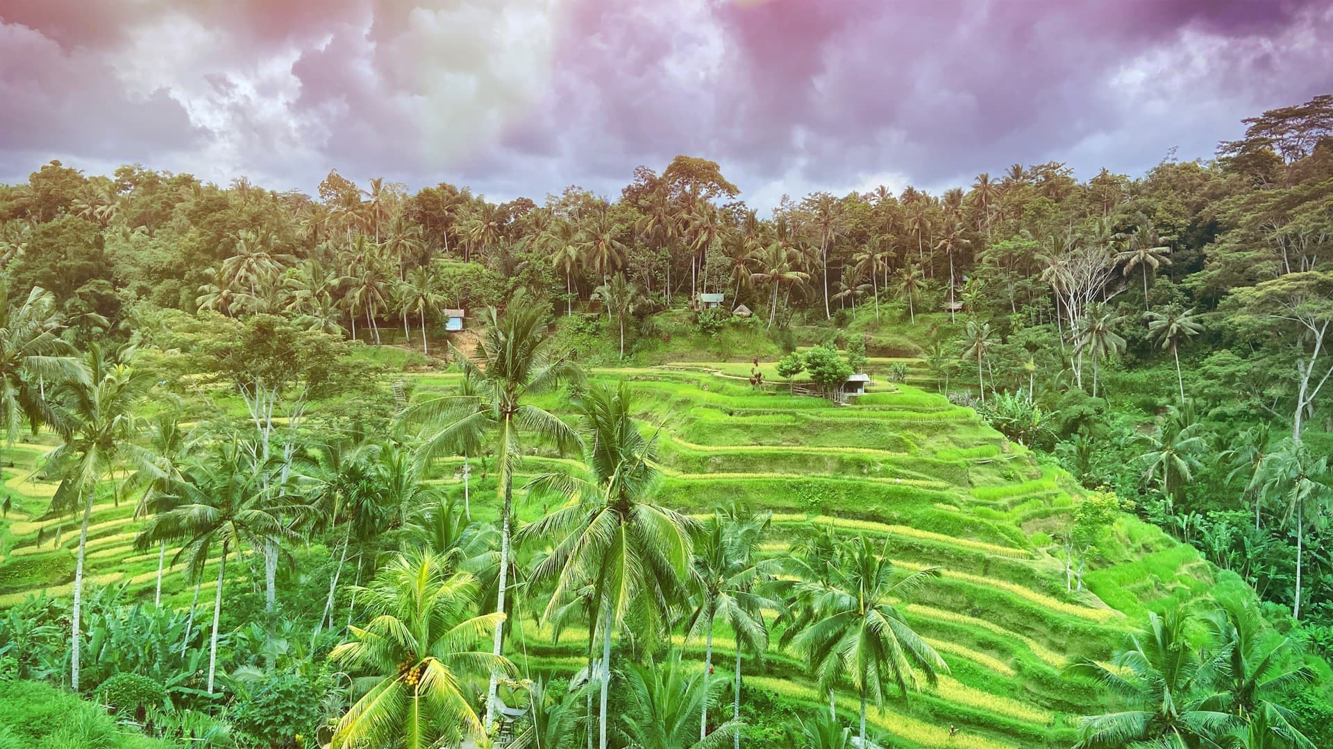 what is life like in bali during the coronavirus pandemic what is bali like now what is it like in bali