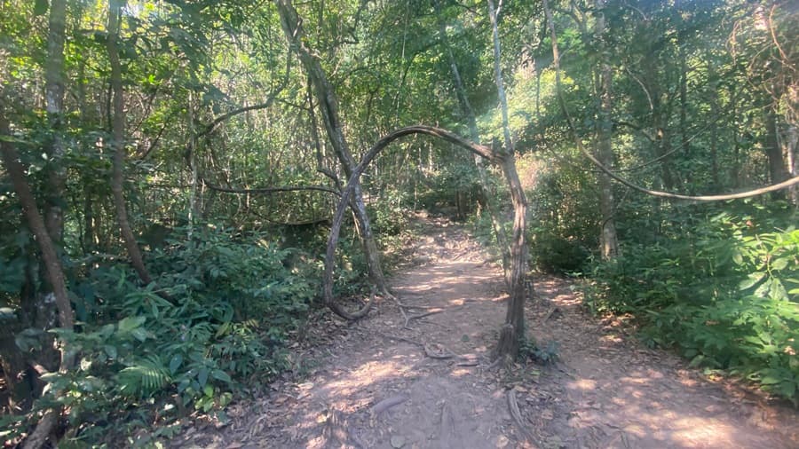 Hiking to Phu Kradueng The Trail