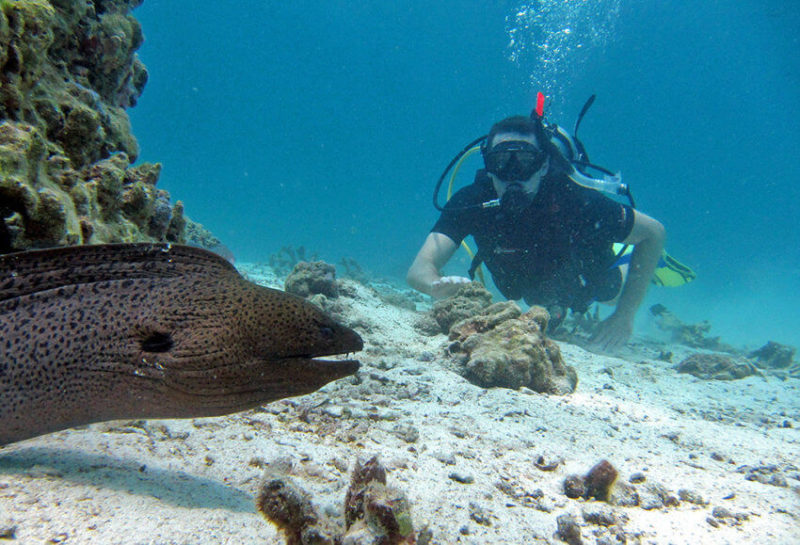 Phi Phi Island Scuba