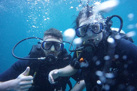 Scuba Diving Phi Phi Island guide info