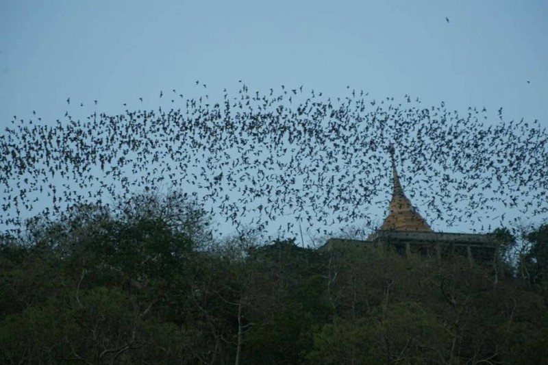 bat cave suen phueng