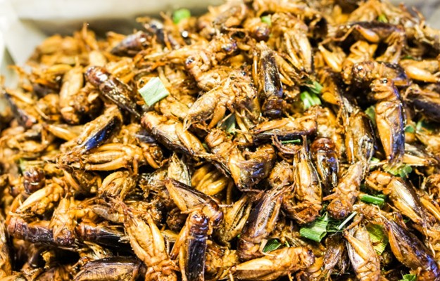 eat crickets bugs in thailand