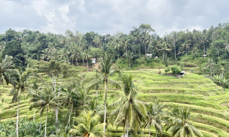 Bali Indonesia Ubud Bali contries americans can travel to now where can united states citizens travel to in asia coronavirus