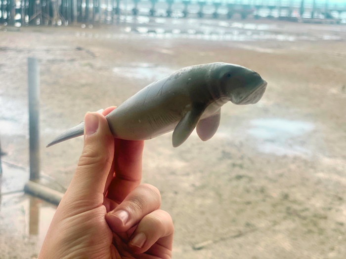 Dugong The Mascot of Koh Libong Island 1