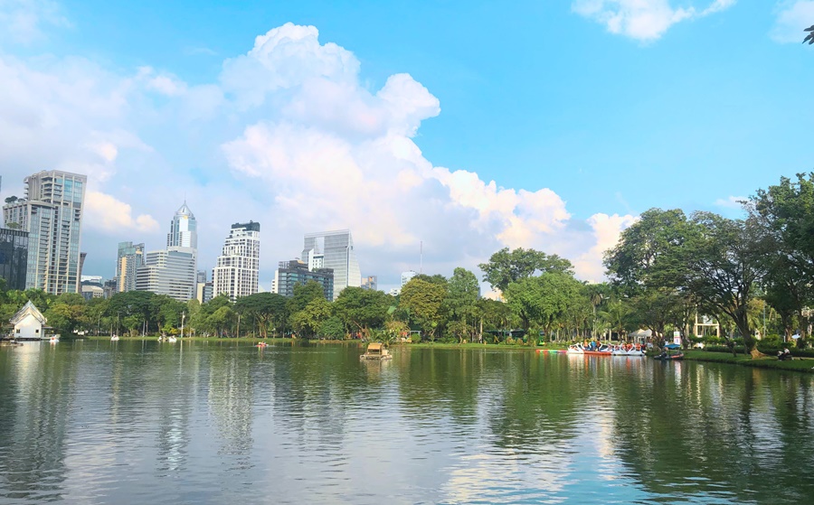 Lumpini Park Skyline