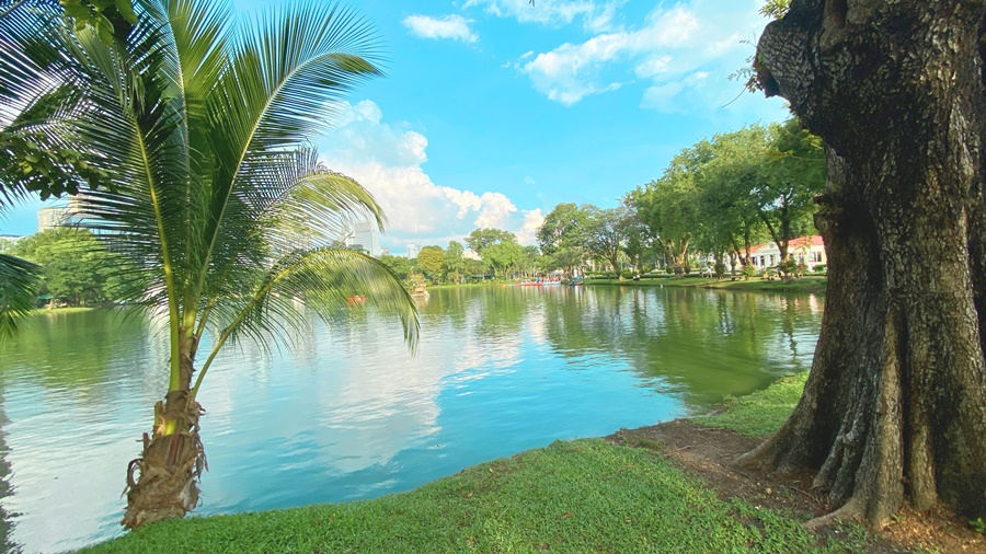 Lumpini Park is a lush tropical oasis in bangkok