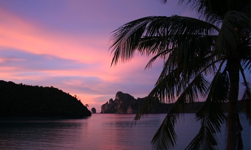 Phi Phi Island Sunset From Loh Dalum Beach Palm Tree in Foreground Red Sky in BAckground