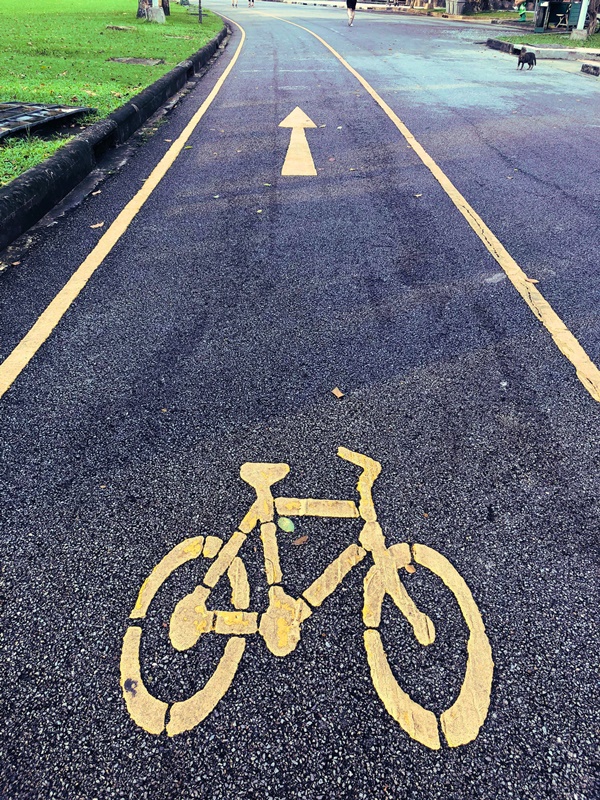 cycle path in lumpini park