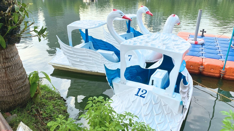 swan boat on lumpini park lake
