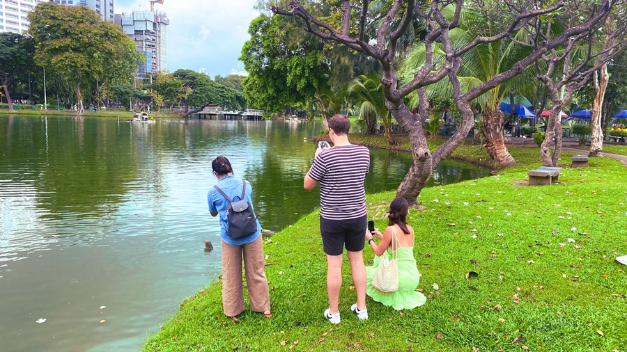 tourists in lumpini park taking photos of the lumpini lizards in the lake