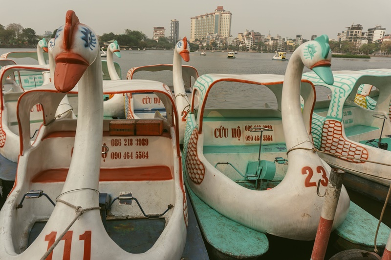 rent a swan boat at west lake hanoi for things to do in hanoi