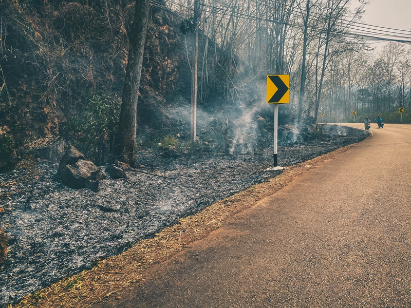 doing mae hong son loop in burning season wild forest fire burs at side of road on mae hongson loop