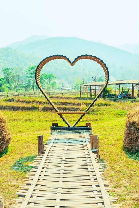 maehongson bamboo bridge tourist attraction