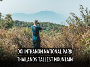 doi inthanon national park thailands tallest mountain backpack bob thailand travel guide