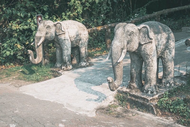 elephant statue at entrance to summit highest point at doi inthanon national park mountain trail