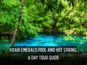 krabi emerald pool and hotsprings a day dour guide