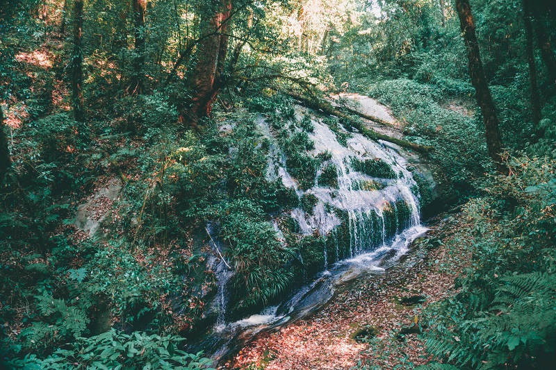 waterfall at doi inthanon nature trail in national park