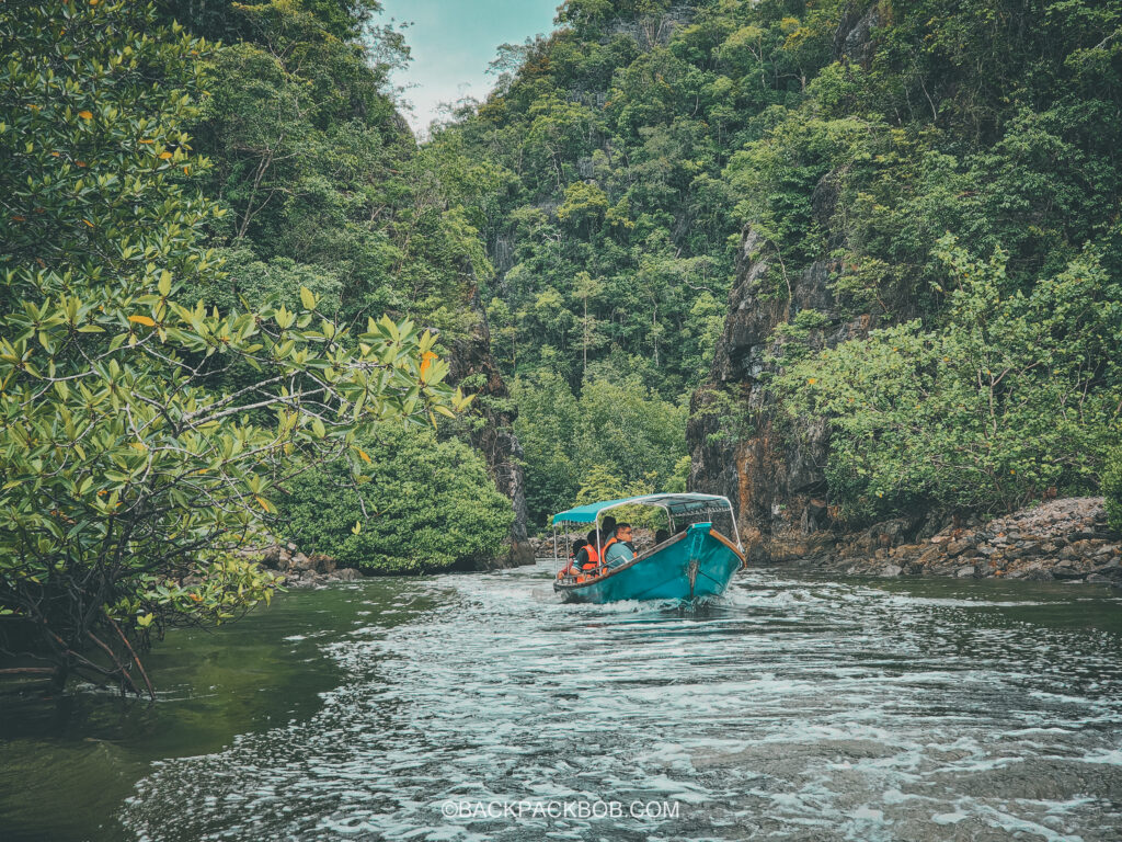 Langkawi Mangroves Tour a blue boat maneuvers through the tight amazon canal with tourists on board 