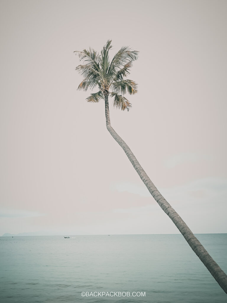 A single palm tree growing out over the ocean can be seen from the porch at the Pawapi Beach Resort in Koh Mook