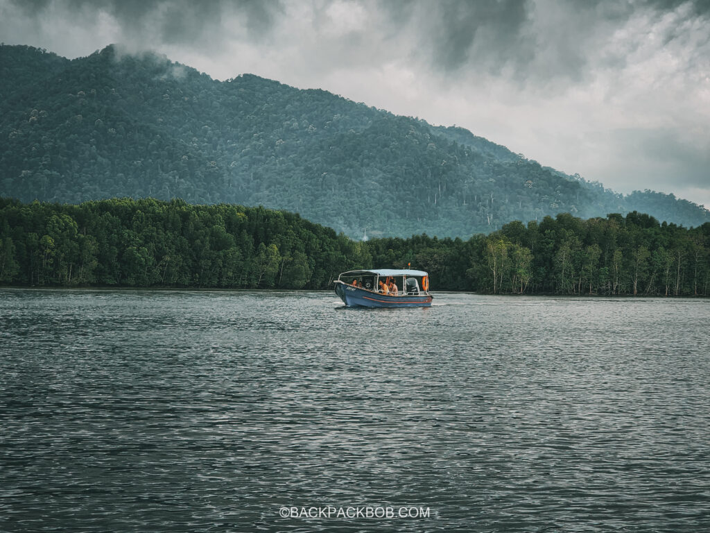 A boat tour cruising around Langkawi mangrove river