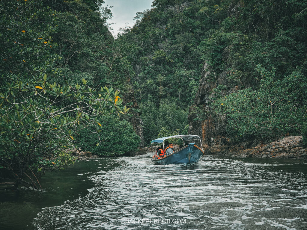 a boat cruising throught the margrove rivers in langkawi geoforest park