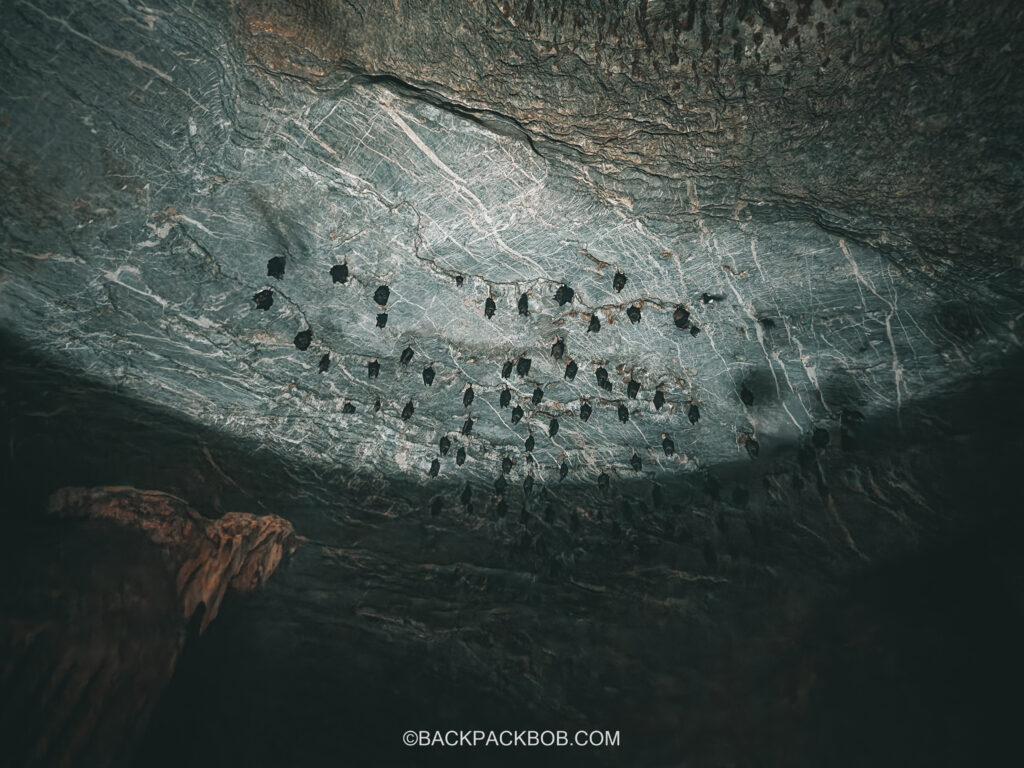 Bat Cave on Langkawi Mangrove Tour