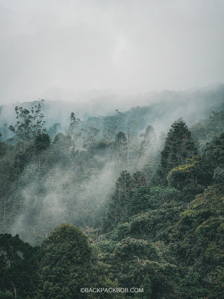 A landscape photo of nature on a day trip from Kuala Lumpur