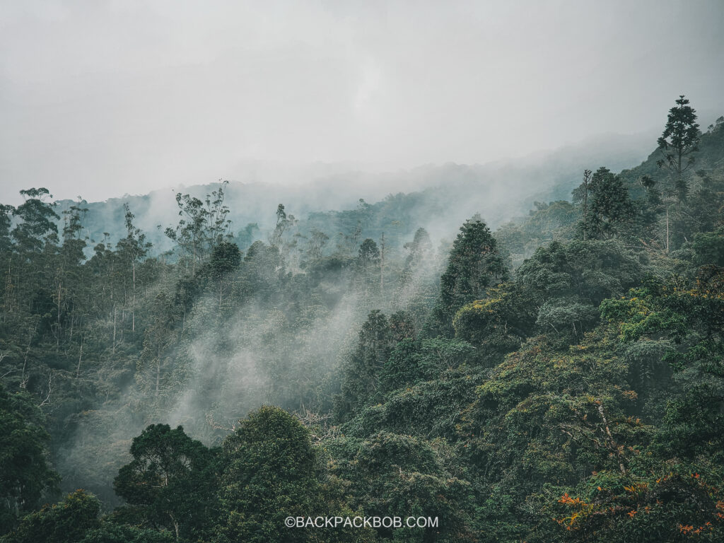 A landscape picture of the greenery and mist at the Malaysia itinerary cameron highlands