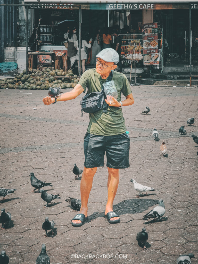 A man finds a novel free thing to do in Kuala Lumpur when he begins to feed the pigeons outside of the batu caves