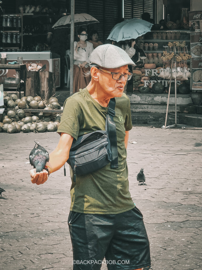 A local man at the Batu Cave in Kuala Lumpur. The man is old and Asian with a green t shirt and grey hat. He is feeding pigeons at the Batu cave and has a pigeon in his hand.