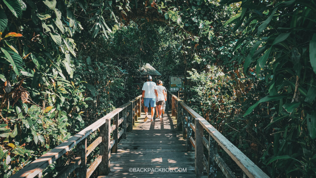  A walkway at Sepilok Orangutan Rehabilitation Center in Sepilok Sandakan Sabah Malaysia where tourist can see orangutans