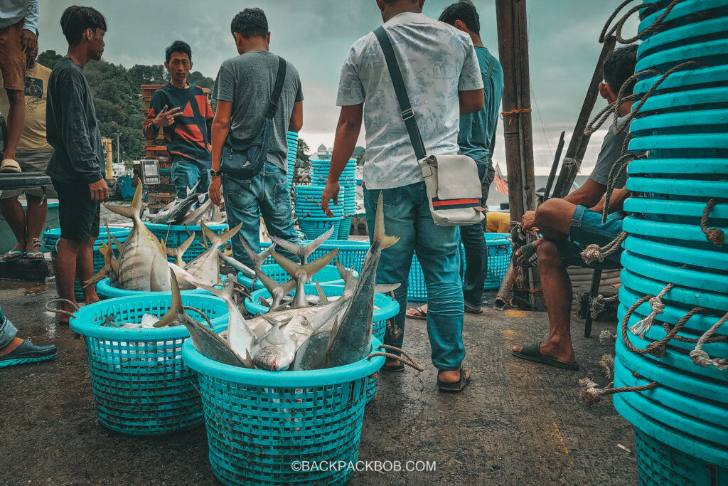 stopping at the fish market on our Sandakan Malaysia itinerary the local fishermen at Sandakan port load fresh catch into blue plastic buckets from the boat