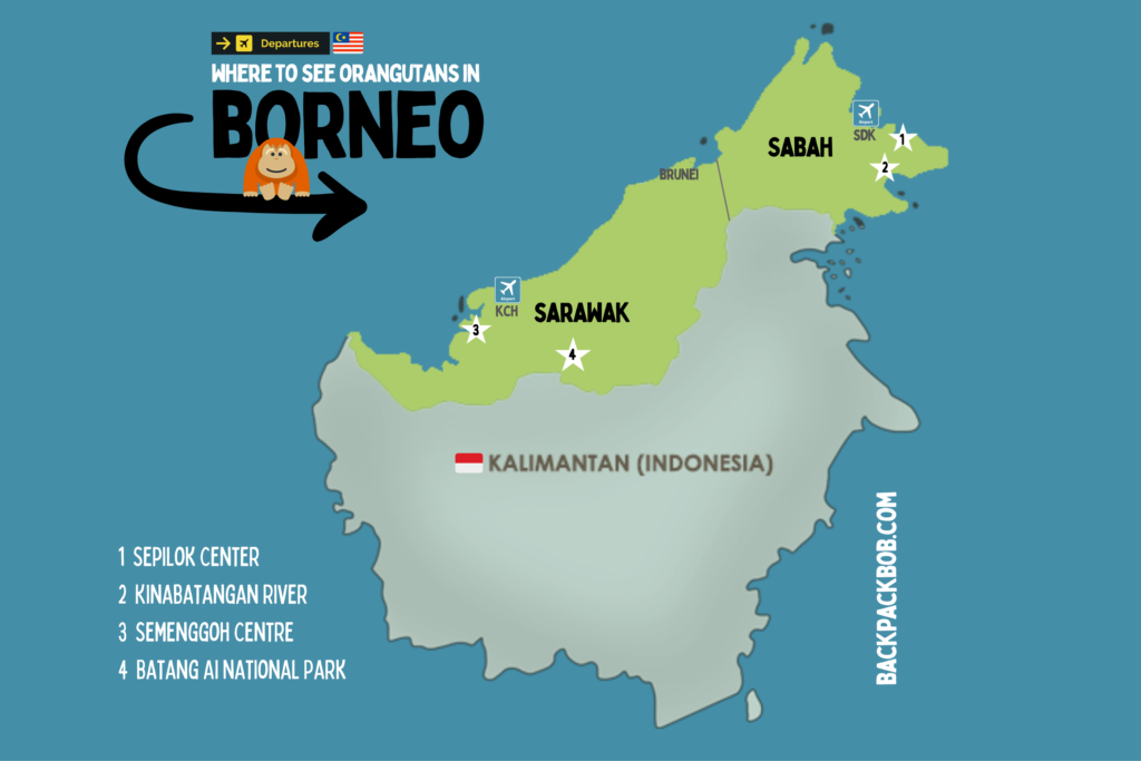 A map of Borneo shows the best places to see Orangutans in the wild. The map shows the popular rehabilitation centers and national parks there are also nearby airports listed