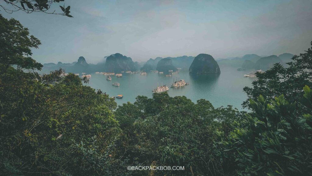 photo taken from the viewpoint at the top of titop island in halong bay overlooking the boat cruises and the bay