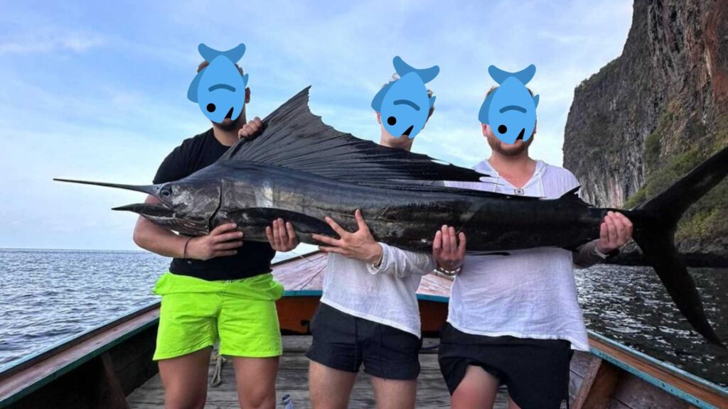 big marlin fish caught in koh phi phi isalnd